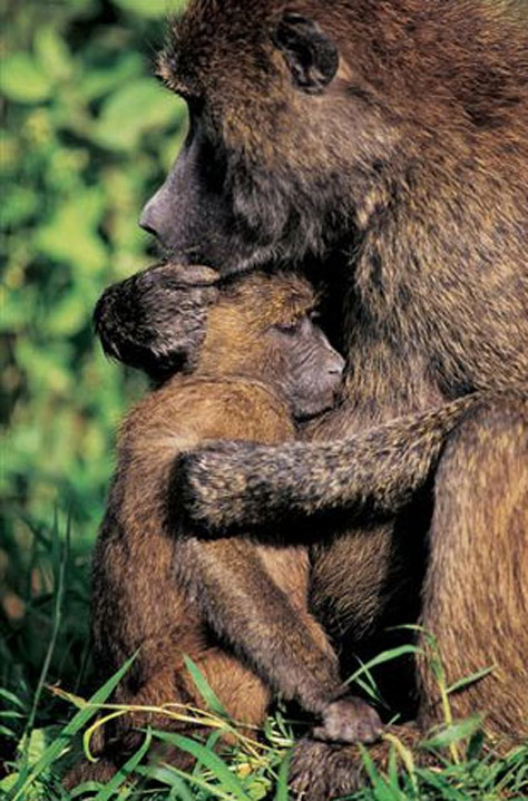natgeo