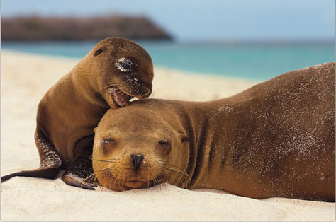 natgeo
