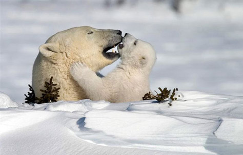 natgeo