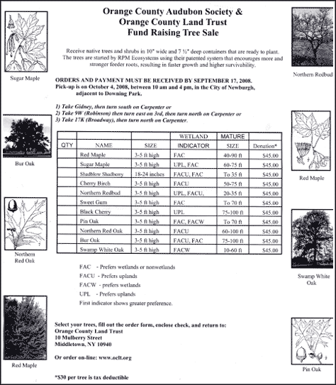 tree sale